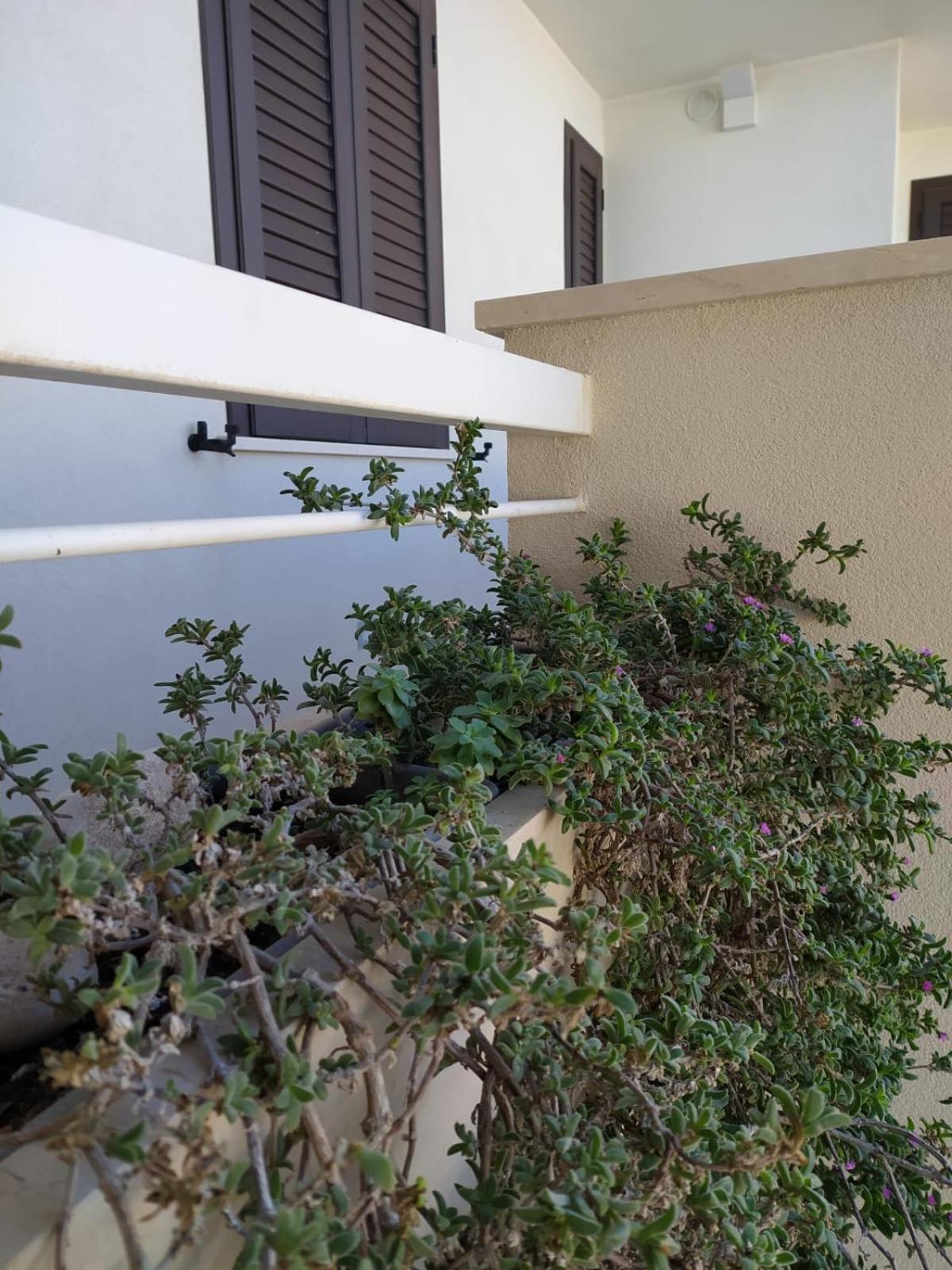 Le Colonie Apartments Porto Cesareo Kültér fotó